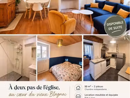 t2 meublé de charme – 50 m² – vieux blagnac / ramiers – 920 tout compris