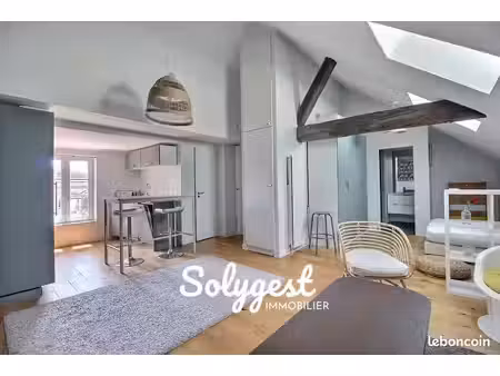 studio 1 pièce 45 m²