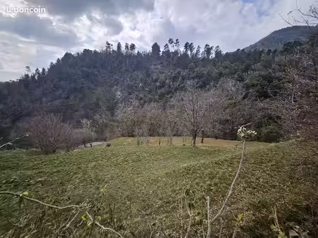 terrain 8900 m² lucéram