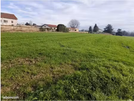 terrain 1 010 m² saint georges de reneins
