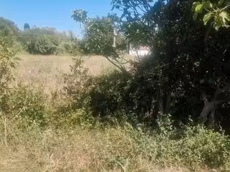 terrain commercial