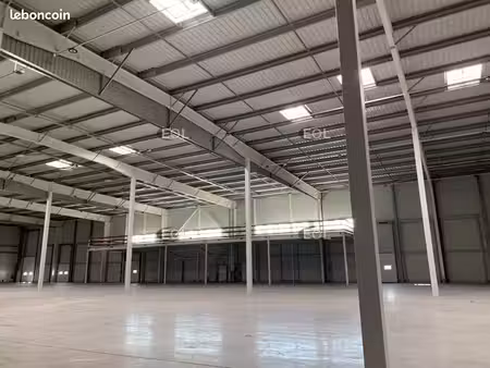 local industriel 4 804 m²