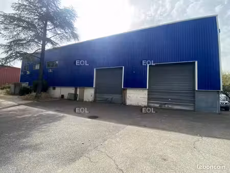 local d'activité 623 m²