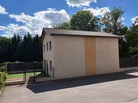 thurins – ensemble de deux maisons mitoyennes récentes