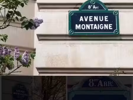 magnifique appartement haussmanien  triangle montaigne.en habitation ou professionnel