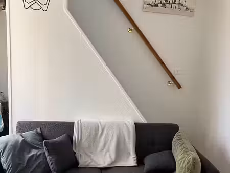 location appartement t2 duplex quartier étudiant université de lyon 1