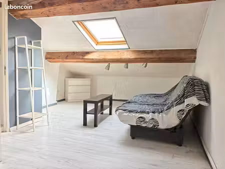 appartement f1 ancien 12m² carrez (20m² au sol)
