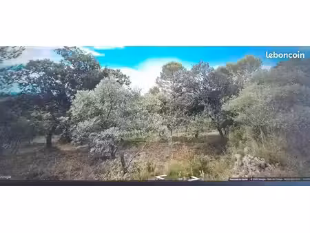 terrain agricole