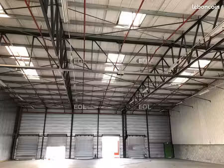 local logistique 556 m²