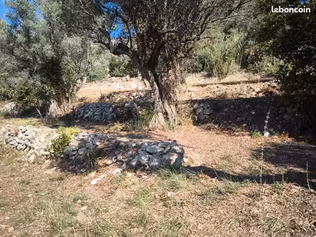terrain constructible 593 m² – le revest – vue faron