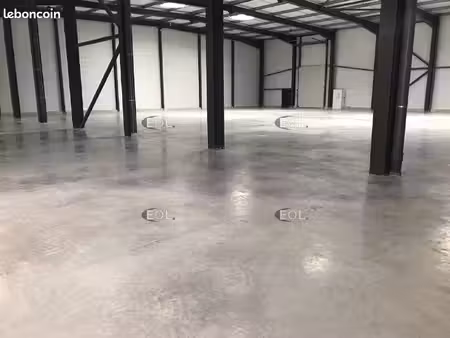 local d'activité 1 557 m²