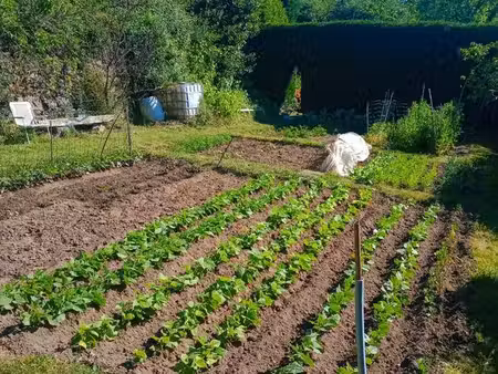 vend terrain agricole