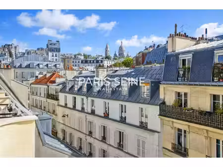 paris seine - balcon vue sacré-coeur