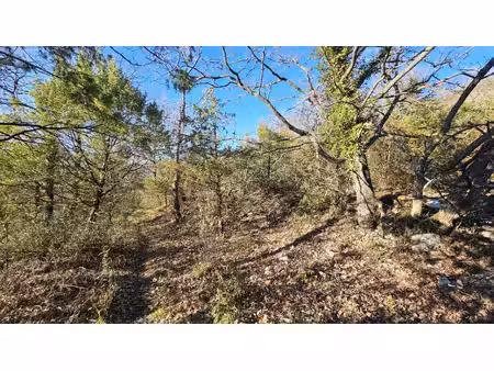 terrain