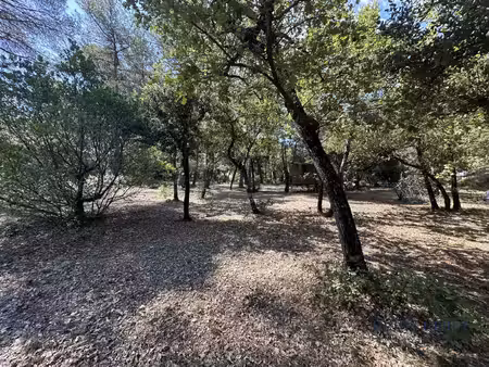 rare à la vente - grand terrain
