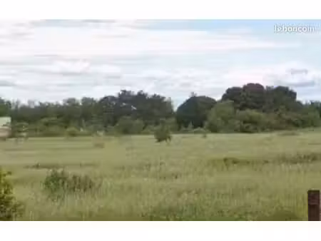 terrain 259 m² salles d aude