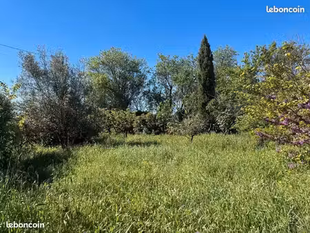 terrain 250 m² trausse