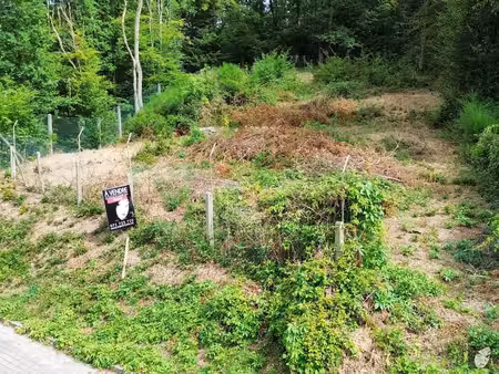 terrain