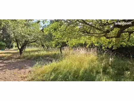 terrain 1 100 m² brax