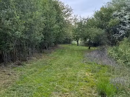 location terrain