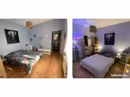 location maison 31 m2