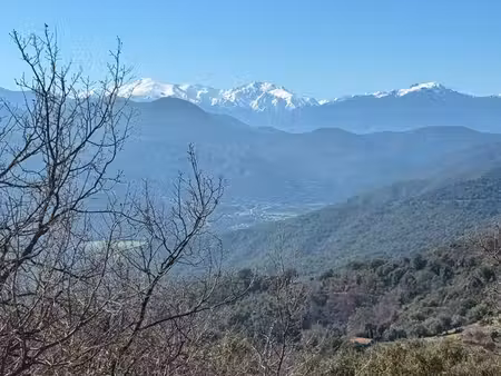 terrain 1897 m² campitello