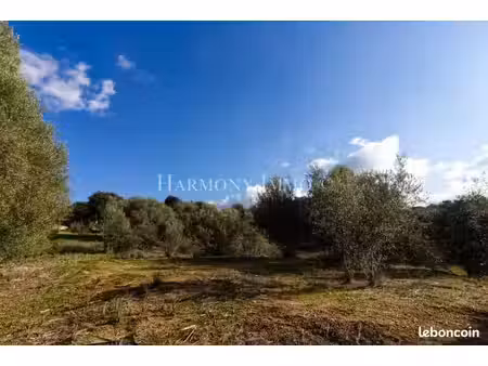 terrain 934 m² bastelicaccia