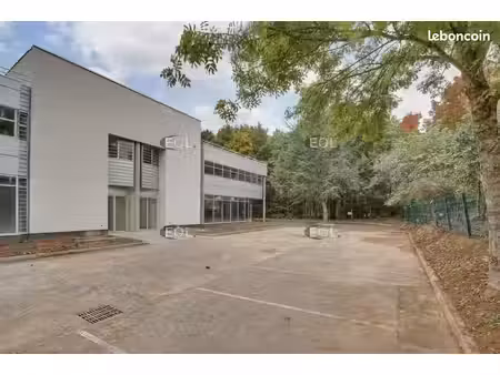 local d'activité 6 465 m²