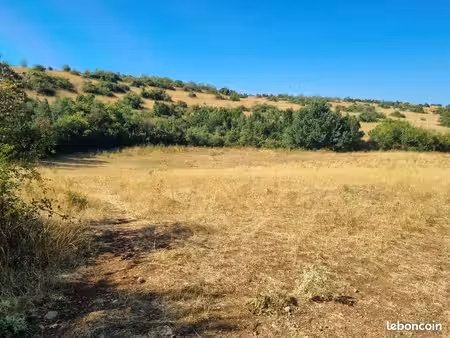 terrain agricole