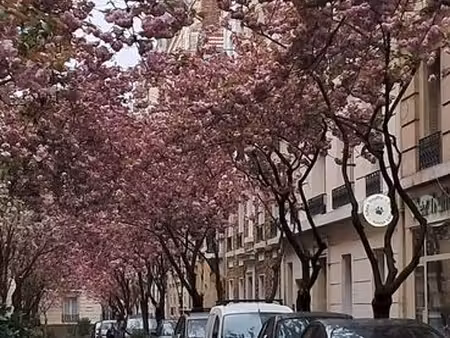 2 pièces rue villebois-mareuil à vincennes
