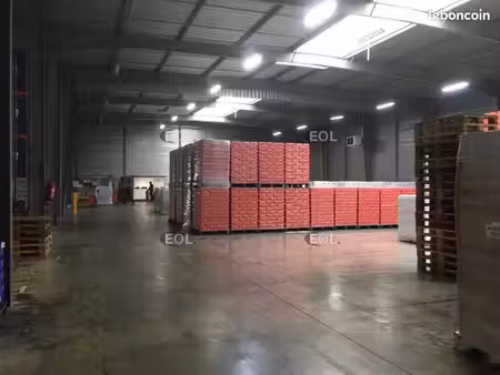 local industriel 2 000 m²
