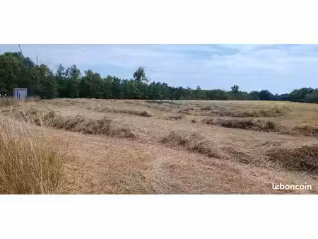 terrain agricole