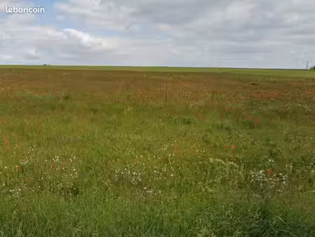 terrain 1 170 m² moulins sur yevre