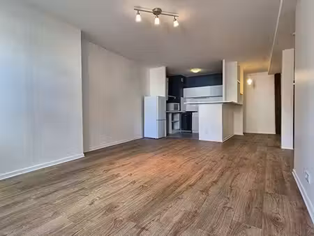 appartement 1 pièce 44 m²