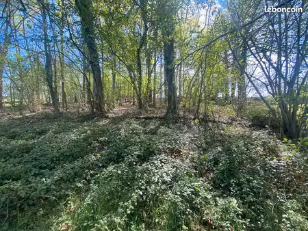 terrain constructible