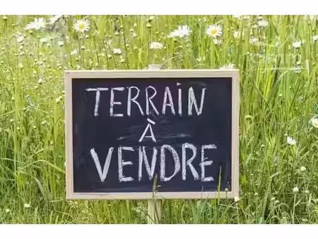 terrain constructible de 2 300 m² à saint-savin