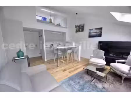 charmant duplex meublé à orléans