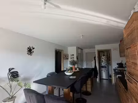 appartement 50 m2