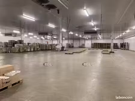 local logistique 4 892 m²