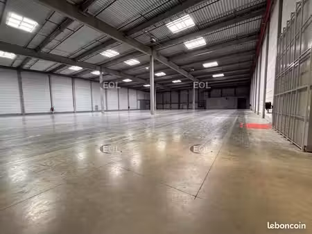 local logistique 20 019 m²