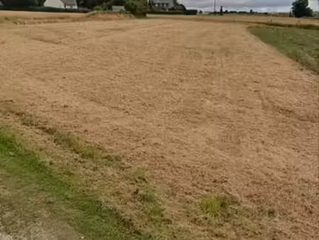 terrain agricole 4115 m2