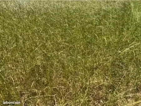 terrain 534 m² plomelin