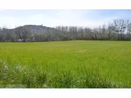 vente terrain constructible cordes-sur-ciel  149 000€ tarn midi-pyrénées n°