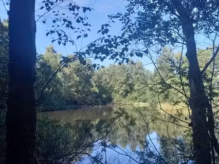 recherche petit étang graviere