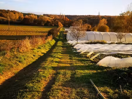 terrain agricole