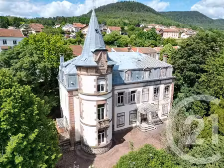maison à vendre - 19 pièces - 525 m2 - moyenmoutier - 88 - lorraine