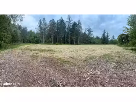 terrain 2000m2