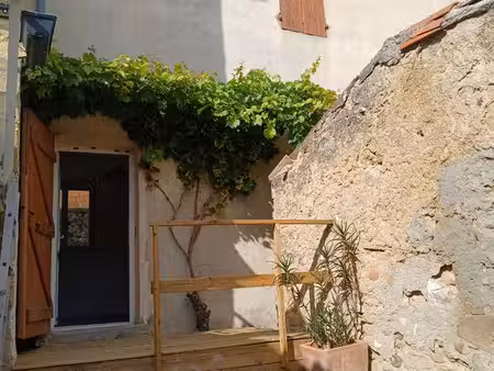 maison de village mas saintes puelles