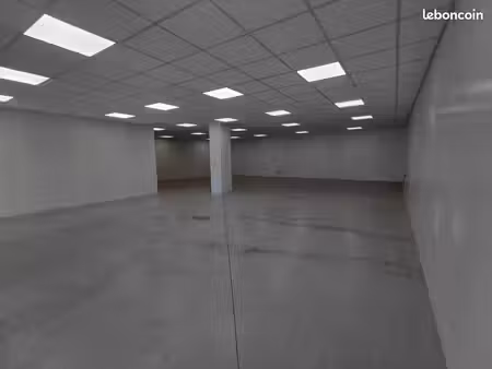 local professionnel/ artisanal/ stockage 140m2- champis