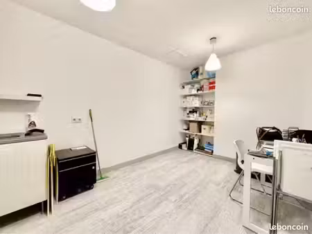 local professionnel 29m2